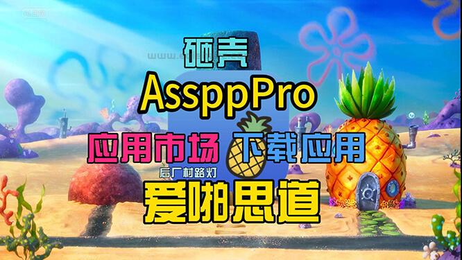 AssppPro爱啪思道 无需越狱砸壳应用市场下载应用 支持多账户 指定应用商店的地区